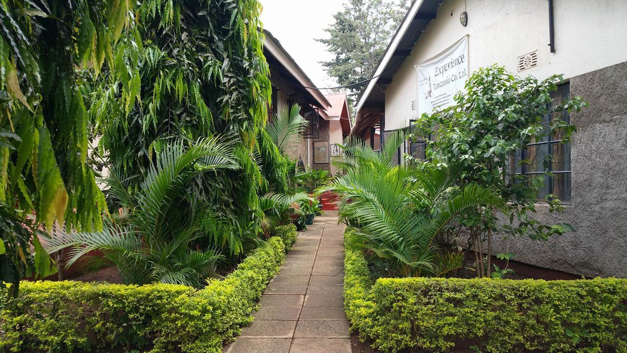 Mama Simba Bed And Breakfast Moshi Bagian luar foto
