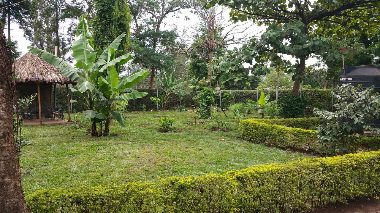 Mama Simba Bed And Breakfast Moshi Bagian luar foto